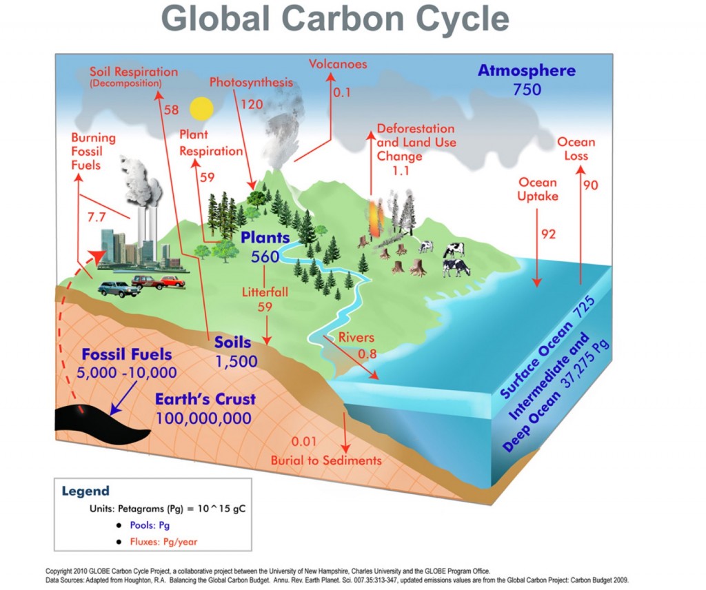 The carbon cycle refers to the continuous movement of carbon, the most abundant element on the planet, through the oceans, land, atmosphere, fossil fuels and all life on Earth.