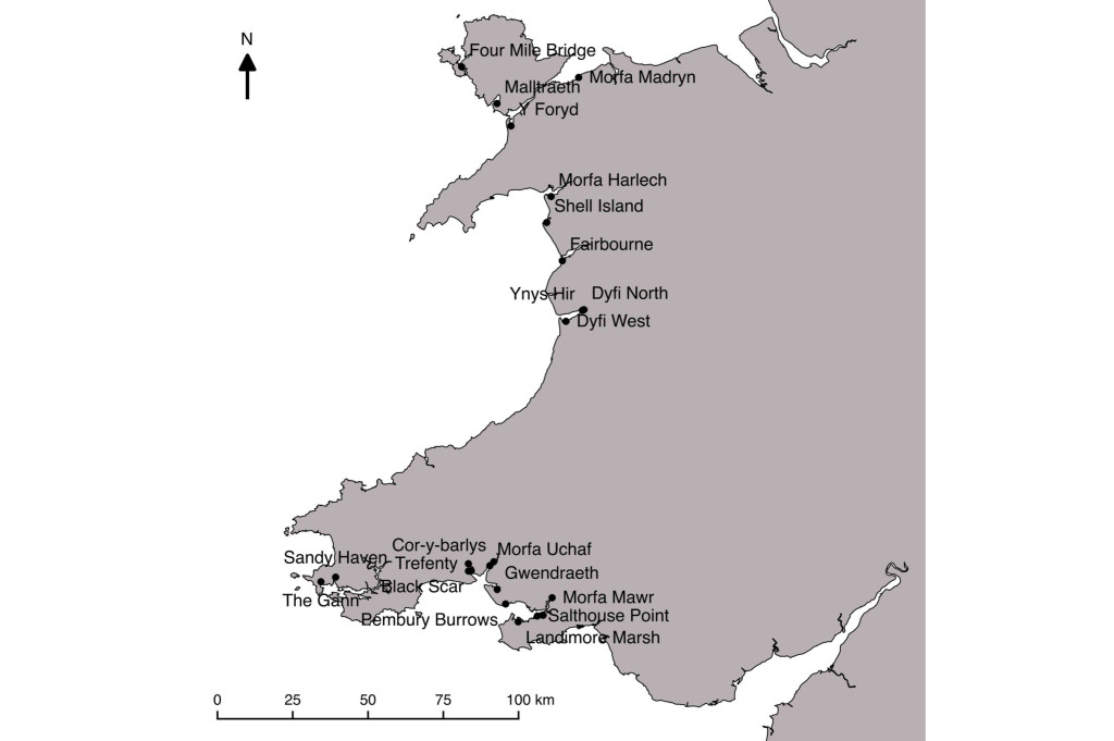 Figure 2. The 23 Welsh salt marshes sampled, in order to develop the Saltmarsh App.