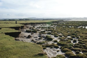 A changing salt marsh in Morecambe Bay, North-West England. The debris fields in front of an eroding cliff show signs of marsh recovery.